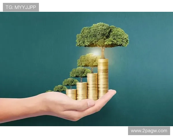 安鑫平台注册资金达到多少亿，投资者需知的关键信息